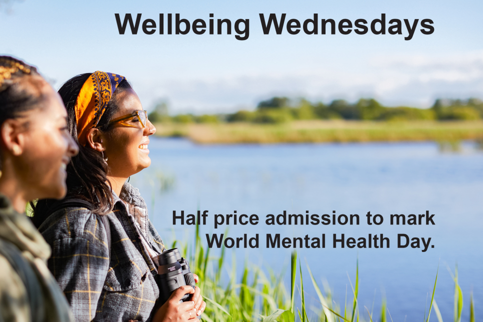 Wellbeing Wednesdays 